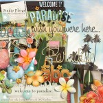 Welcome to Paradise