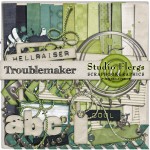 Troublemaker