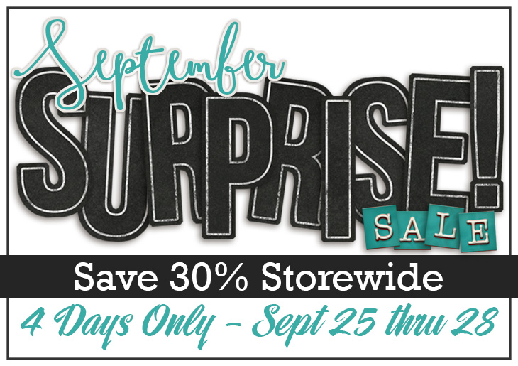 surprisesale-2015